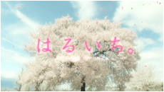 警泥
